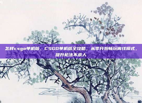怎样csgo单机版，CSGO单机版全攻略，从零开始畅玩离线模式，提升枪法不求人