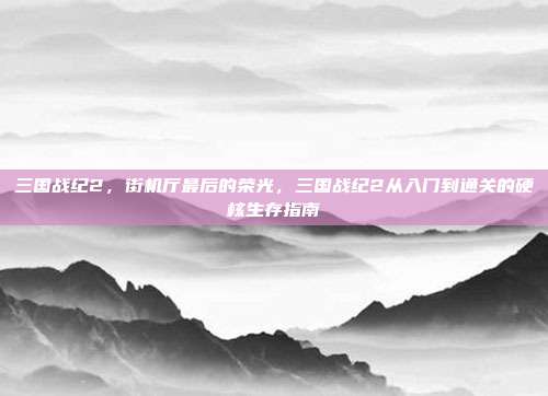 三国战纪2,街机厅最后的荣光,三国战纪2从入门到通关的硬核生存指南