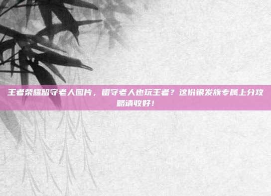 王者荣耀留守老人图片，留守老人也玩王者？这份银发族专属上分攻略请收好！
