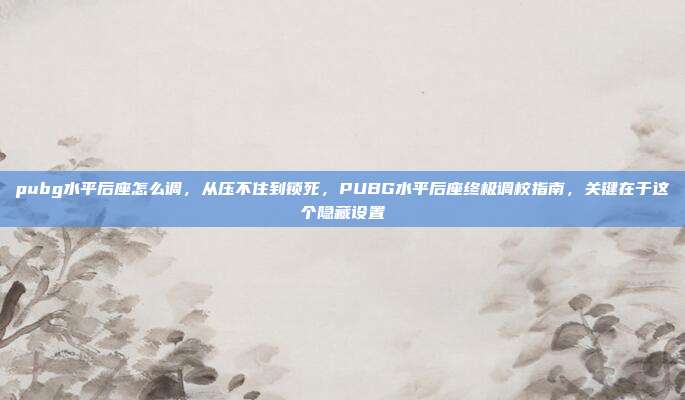 pubg水平后座怎么调,从压不住到锁死,PUBG水平后座终极调校指南,关键在于这个隐藏设置