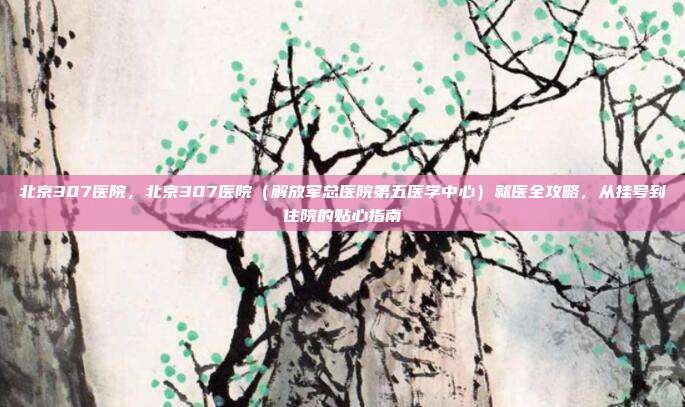 北京307医院,北京307医院(解放军总医院第五医学中心)就医全攻略,从挂号到住院的贴心指南