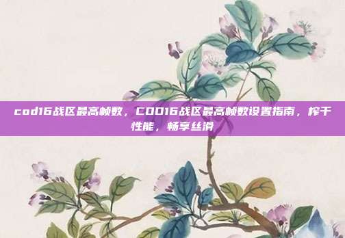 cod16战区最高帧数,COD16战区最高帧数设置指南,榨干性能,畅享丝滑