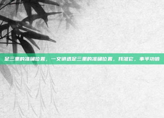 足三里的准确位置,一文讲透足三里的准确位置,找准它,事半功倍
