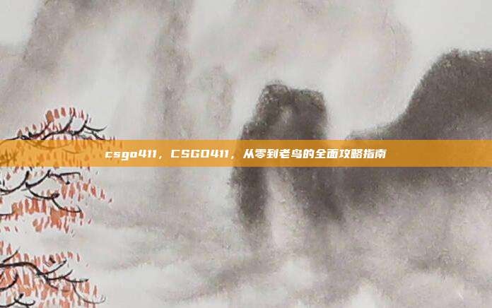 csgo411,CSGO411,从零到老鸟的全面攻略指南