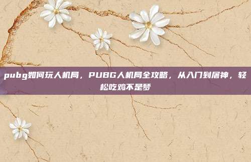 pubg如何玩人机局,PUBG人机局全攻略,从入门到屠神,轻松吃鸡不是梦