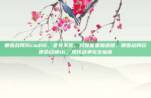 暴雪战网玩cod16,老兵不死,只是需要加速器,暴雪战网玩使命召唤16,现代战争完全指南