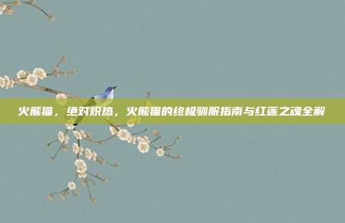 火熊猫,绝对炽热,火熊猫的终极驯服指南与红莲之魂全解