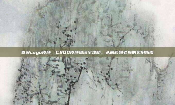 查询csgo皮肤，CSGO皮肤查询全攻略，从萌新到老鸟的实用指南