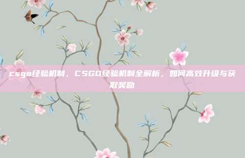 csgo经验机制,CSGO经验机制全解析,如何高效升级与获取奖励