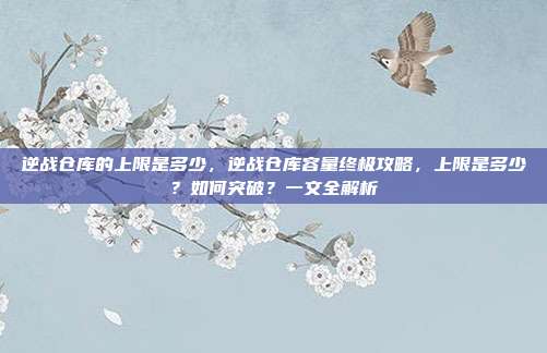 逆战仓库的上限是多少,逆战仓库容量终极攻略,上限是多少?如何突破?一文全解析