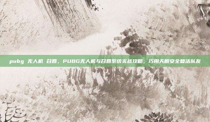 pubg 无人机 召回,PUBG无人机与召回系统实战攻略,巧用天眼安全复活队友