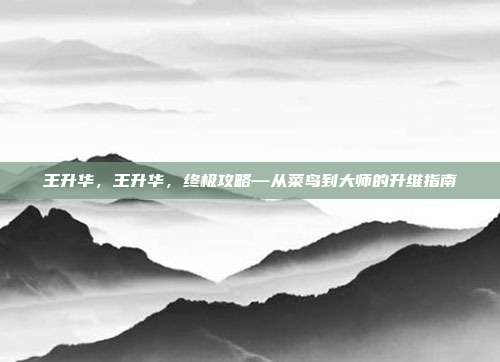 王升华，王升华，终极攻略—从菜鸟到大师的升维指南