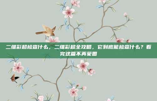 二维彩超检查什么,二维彩超全攻略,它到底能检查什么?看完这篇不再蒙圈