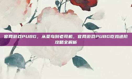 官网游戏PUBG,从菜鸟到老司机,官网游戏PUBG吃鸡进阶攻略全解析