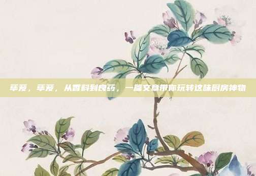 荜茇，荜茇，从香料到良药，一篇文章带你玩转这味厨房神物