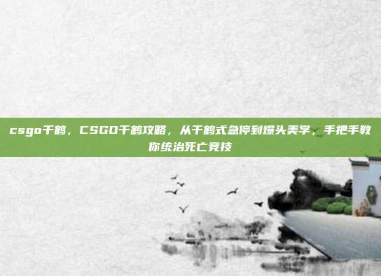 csgo千鹤,CSGO千鹤攻略,从千鹤式急停到爆头美学,手把手教你统治死亡竞技
