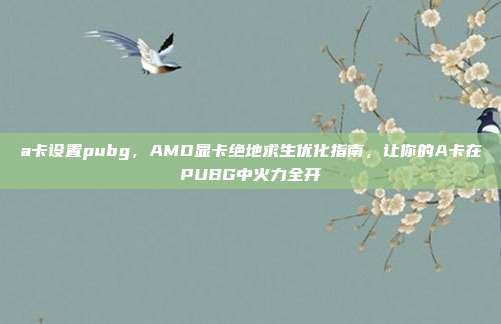 a卡设置pubg,AMD显卡绝地求生优化指南,让你的A卡在PUBG中火力全开