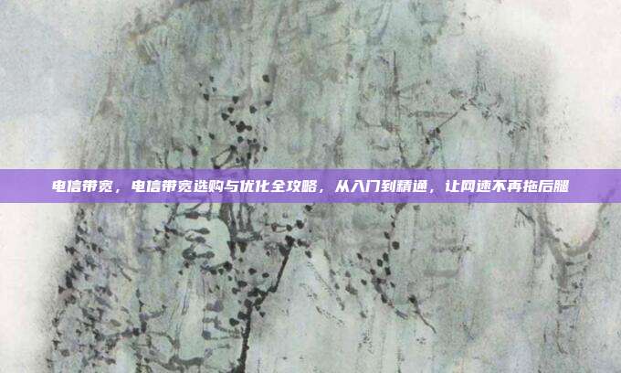 电信带宽，电信带宽选购与优化全攻略，从入门到精通，让网速不再拖后腿