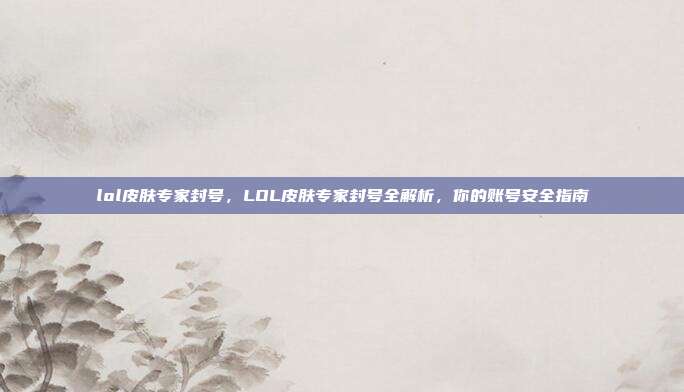 lol皮肤专家封号,LOL皮肤专家封号全解析,你的账号安全指南