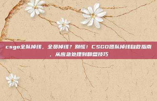 csgo全队掉线,全员掉线?别慌!CSGO团队掉线自救指南,从应急处理到翻盘技巧