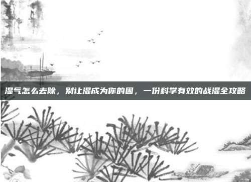湿气怎么去除,别让湿成为你的困,一份科学有效的战湿全攻略