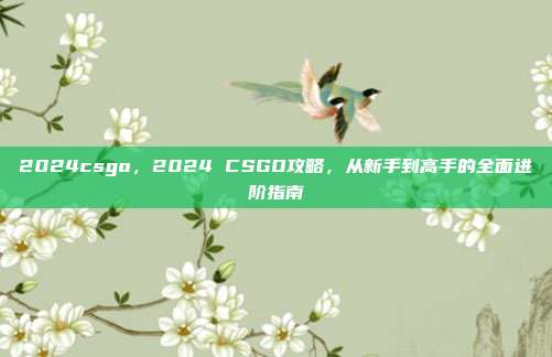 2024csgo,2024 CSGO攻略,从新手到高手的全面进阶指南