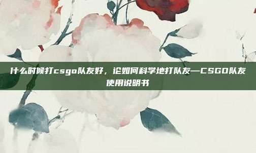 什么时候打csgo队友好,论如何科学地打队友—CSGO队友使用说明书
