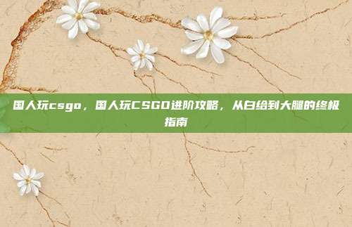 国人玩csgo,国人玩CSGO进阶攻略,从白给到大腿的终极指南
