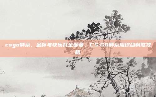csgo胖茶,金杯与快乐我全都要,CS:GO胖茶流综合制胜攻略