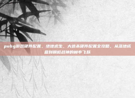 pubg游戏硬件配置,绝地求生,大逃杀硬件配置全攻略,从落地成盒到钢枪战神的帧率飞跃