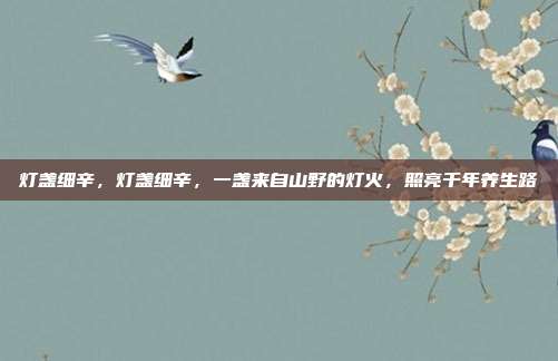 灯盏细辛,灯盏细辛,一盏来自山野的灯火,照亮千年养生路