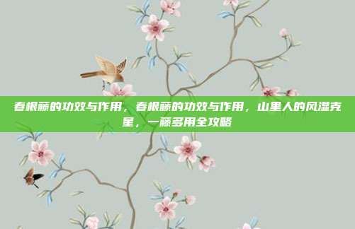 春根藤的功效与作用,春根藤的功效与作用,山里人的风湿克星,一藤多用全攻略