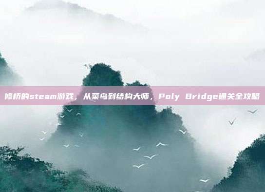 修桥的steam游戏,从菜鸟到结构大师,Poly Bridge通关全攻略