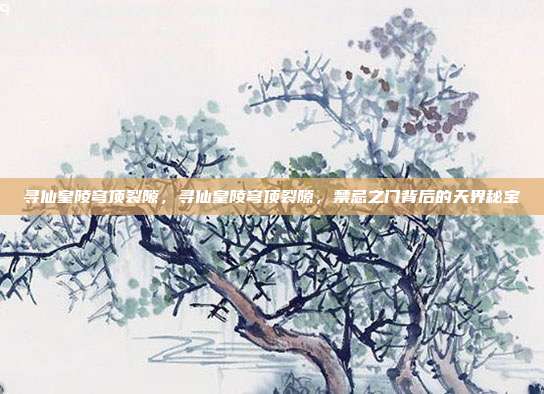 寻仙皇陵穹顶裂隙,寻仙皇陵穹顶裂隙,禁忌之门背后的天界秘宝
