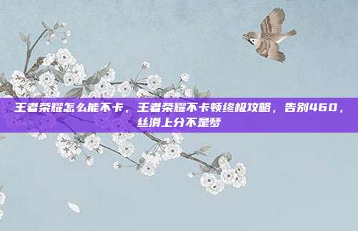 王者荣耀怎么能不卡,王者荣耀不卡顿终极攻略,告别460,丝滑上分不是梦