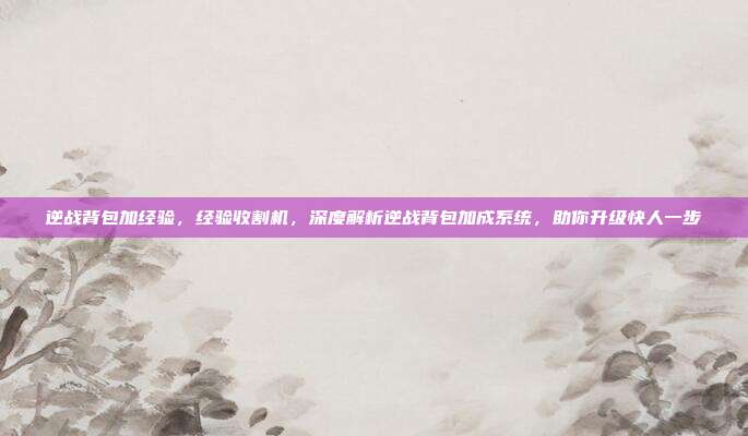 逆战背包加经验,经验收割机,深度解析逆战背包加成系统,助你升级快人一步