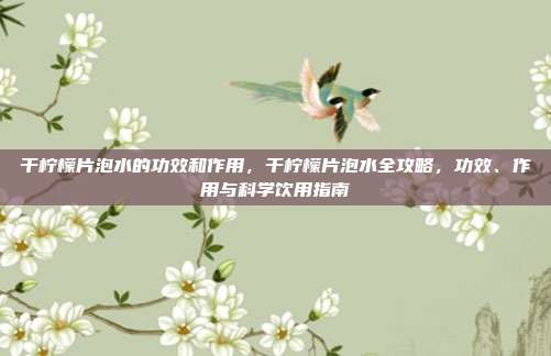 干柠檬片泡水的功效和作用,干柠檬片泡水全攻略,功效、作用与科学饮用指南