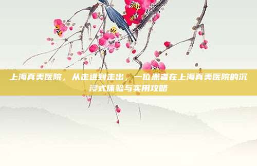 上海真美医院,从走进到走出,一位患者在上海真美医院的沉浸式体验与实用攻略