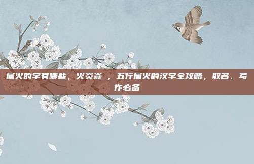 属火的字有哪些,火炎焱燚,五行属火的汉字全攻略,取名、写作必备