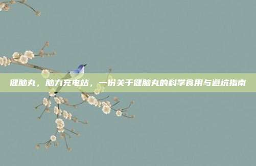 健脑丸,脑力充电站,一份关于健脑丸的科学食用与避坑指南
