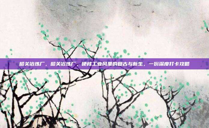 韶关冶炼厂,韶关冶炼厂,硬核工业风里的复古与新生,一份深度打卡攻略