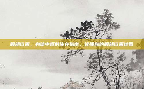 腹部位置,身体中枢的生存指南,读懂你的腹部位置地图