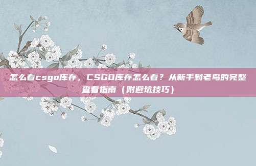 怎么看csgo库存,CSGO库存怎么看?从新手到老鸟的完整查看指南(附避坑技巧)