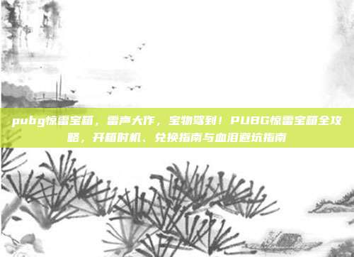 pubg惊雷宝箱,雷声大作,宝物驾到!PUBG惊雷宝箱全攻略,开箱时机、兑换指南与血泪避坑指南