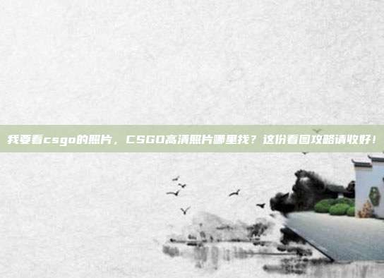 我要看csgo的照片,CSGO高清照片哪里找?这份看图攻略请收好!