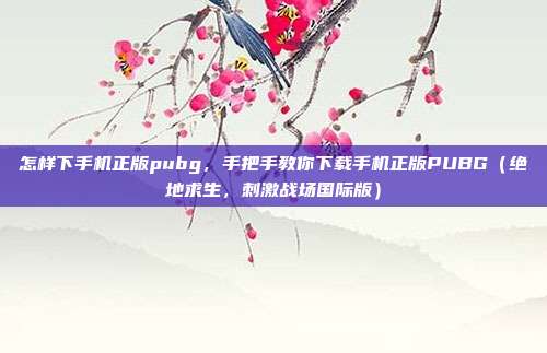 怎样下手机正版pubg,手把手教你下载手机正版PUBG(绝地求生,刺激战场国际版)