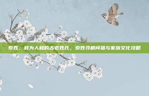 索姓,鲜为人知的古老姓氏,索姓寻根问祖与家族文化攻略