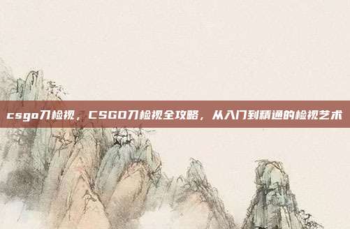csgo刀检视,CSGO刀检视全攻略,从入门到精通的检视艺术