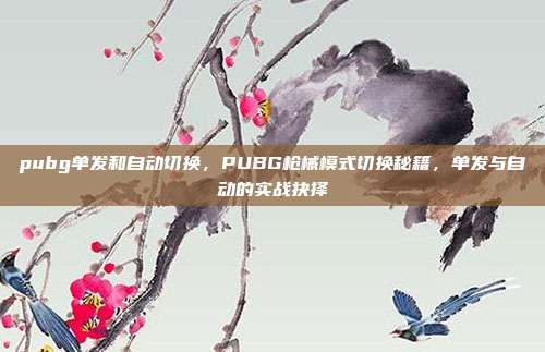 pubg单发和自动切换,PUBG枪械模式切换秘籍,单发与自动的实战抉择