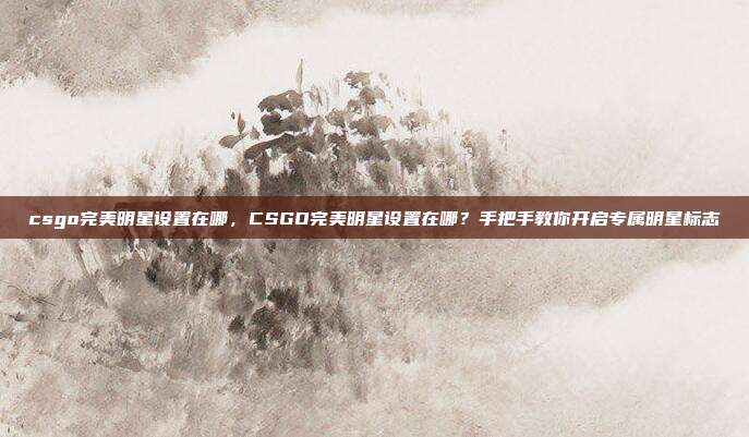 csgo完美明星设置在哪,CSGO完美明星设置在哪?手把手教你开启专属明星标志
